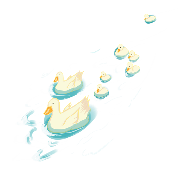 为什么下雨时 鸭子就在雨中傻站着一动不动?