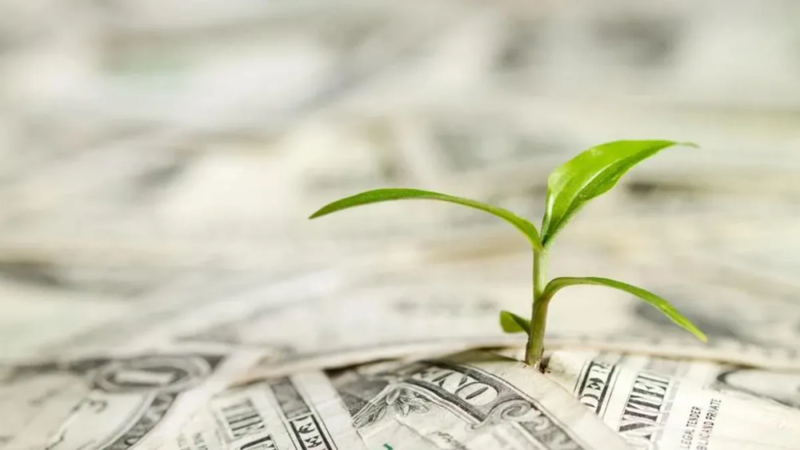 体育版「创造101」要来了?