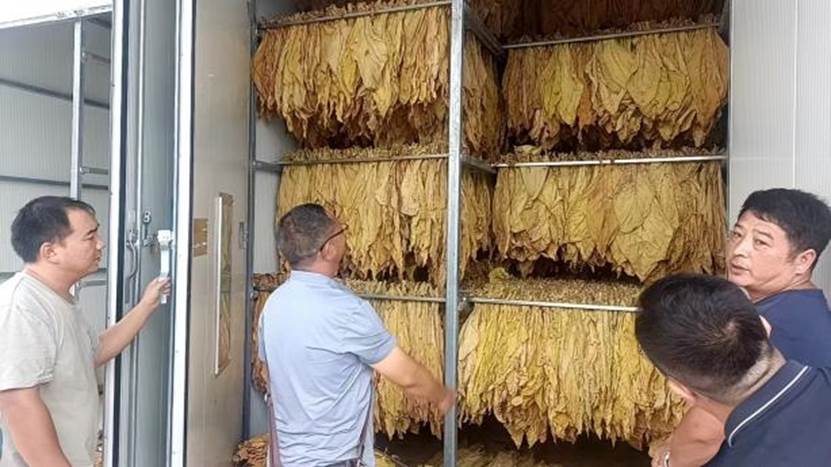 基诺德40座一体闭式空气能热泵烤房助力绿色经济