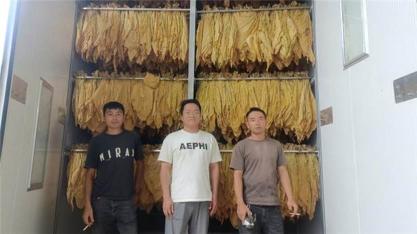 基诺德40座一体闭式空气能热泵烤房助力绿色经济