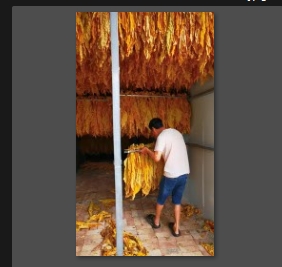 基诺德40座一体闭式空气能热泵烤房助力绿色经济