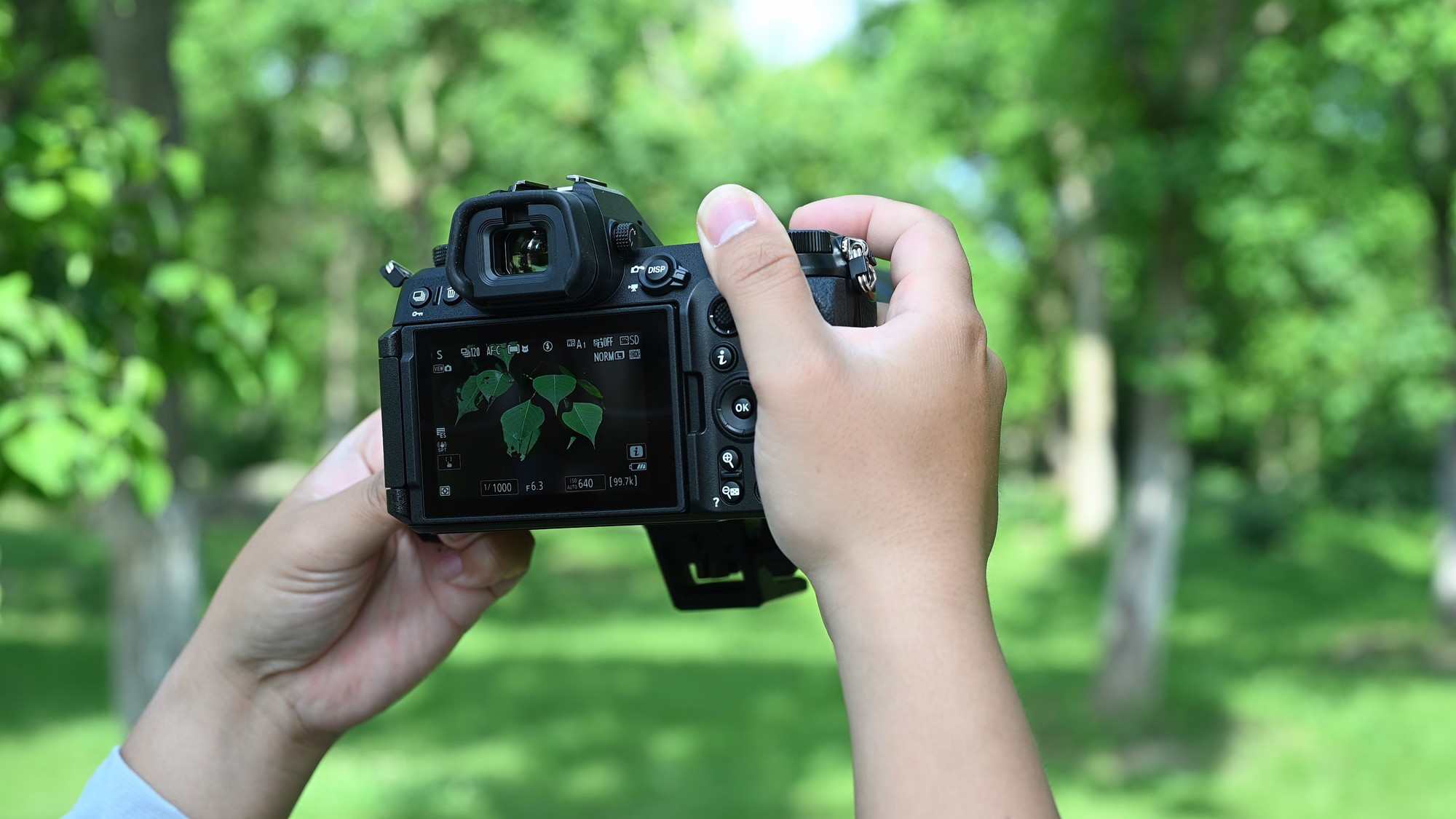 上市成“真香”微单的尼康Z6 III,为什么成为了用户首选