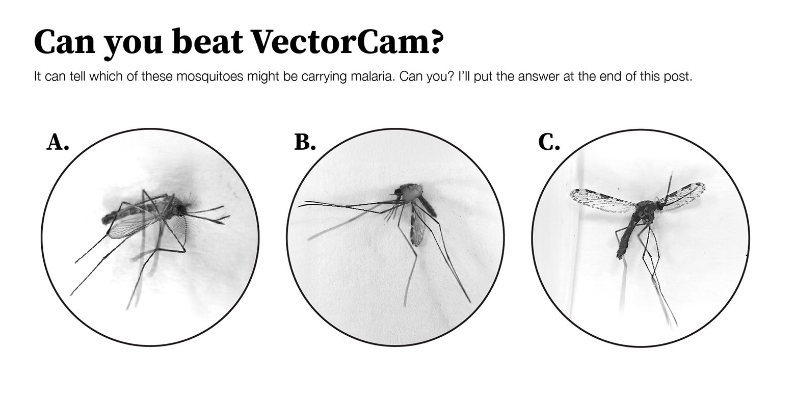 比尔・盖茨用 AI 对付蚊子,助力消灭疟疾