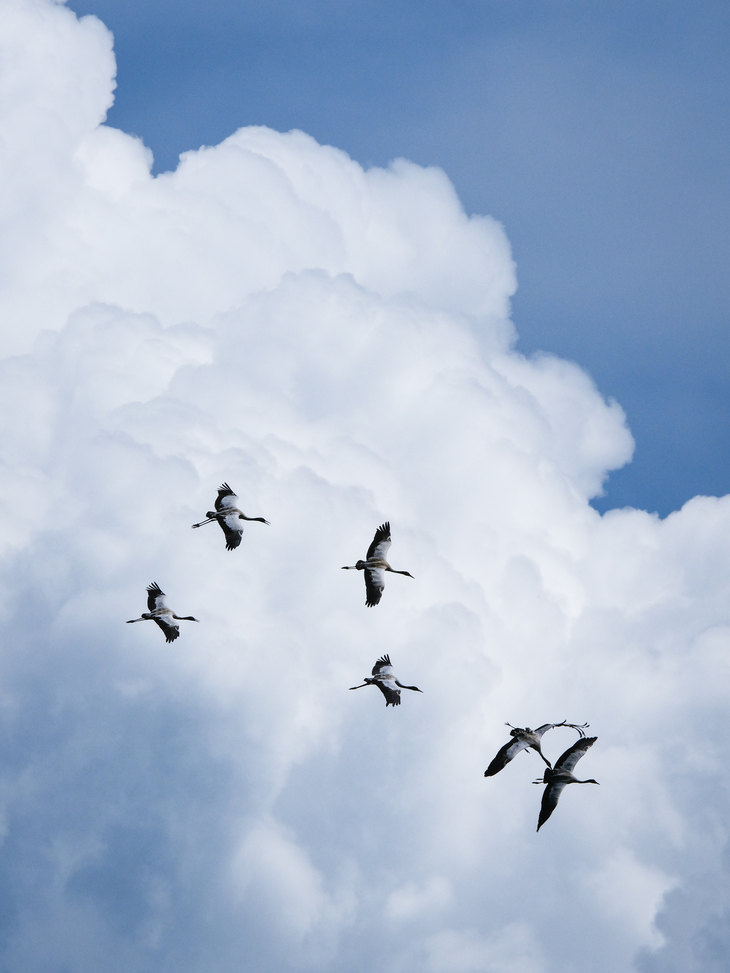 GFX系列最轻巧1亿像素中画幅 富士GFX100S II无反评测