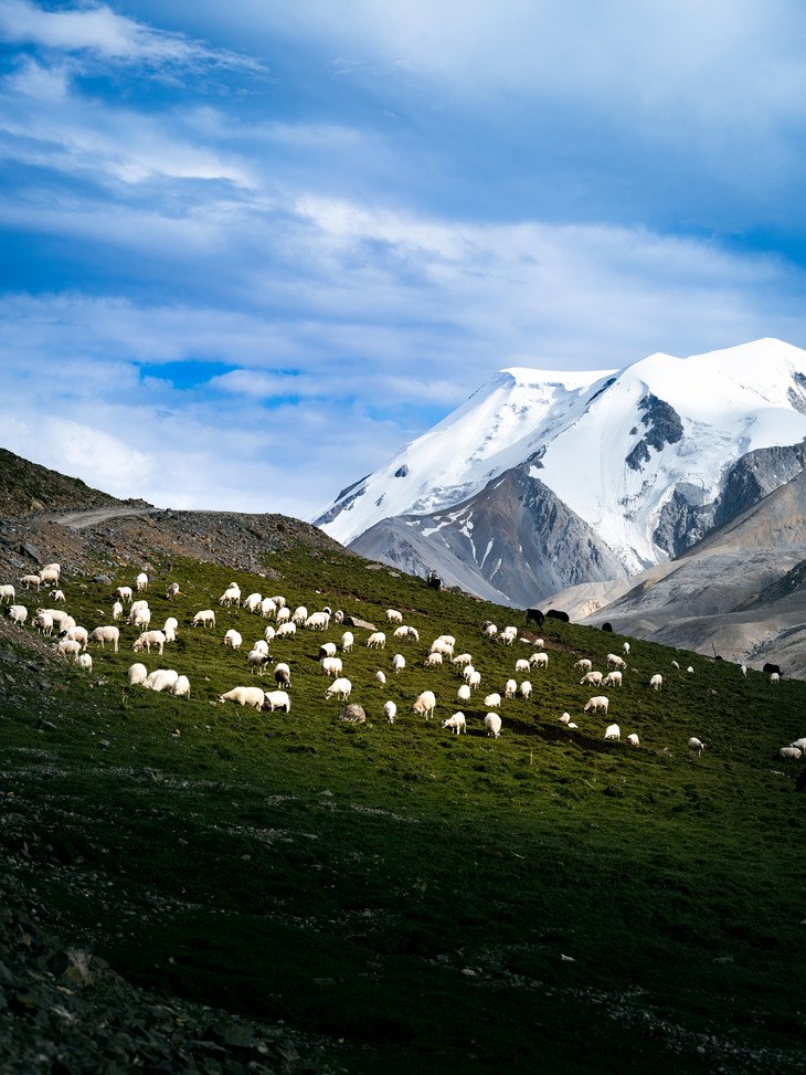 GFX系列最轻巧1亿像素中画幅 富士GFX100S II无反评测