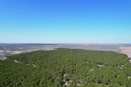 为“绿色长城”筑牢科技根基