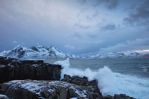 2023年中国三文鱼消费全球增量第一,进口量创新高,激发市场潜能