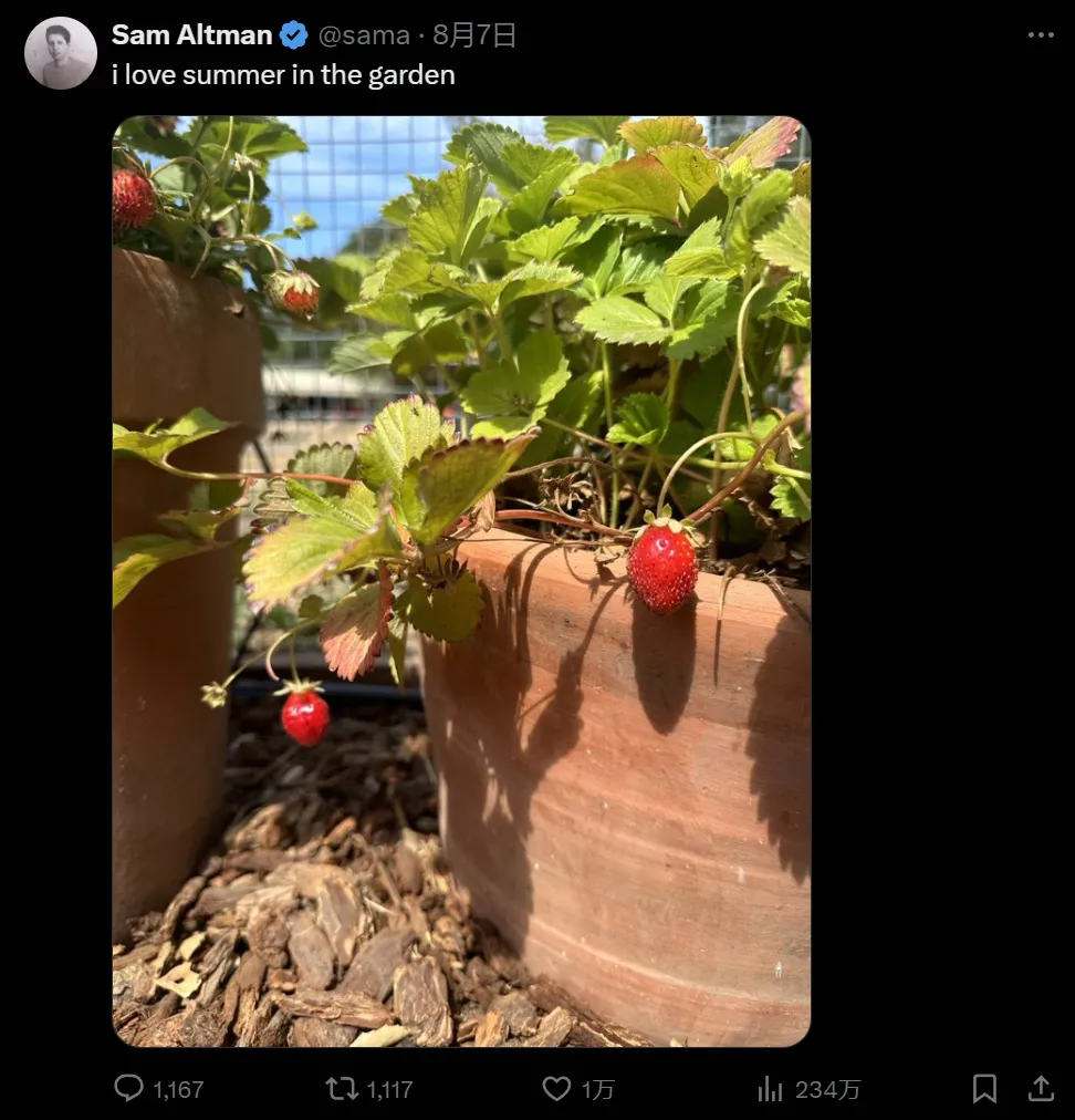 「草莓」即将上线,OpenAI新旗舰大模型曝光,代号「猎户座」