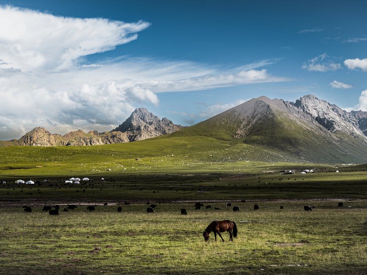 GFX系列最轻巧1亿像素中画幅 富士GFX100S II无反评测