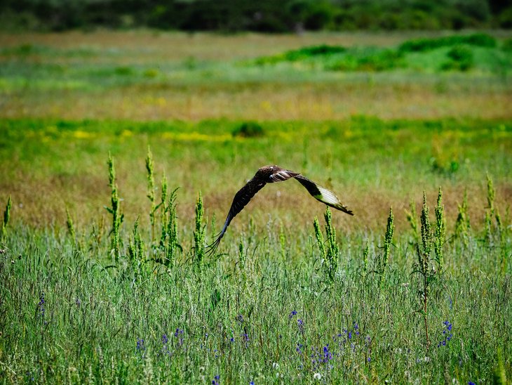 GFX系列最轻巧1亿像素中画幅 富士GFX100S II无反评测