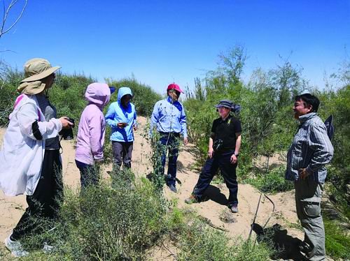 为“绿色长城”筑牢科技根基