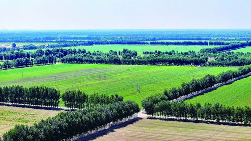 为“绿色长城”筑牢科技根基