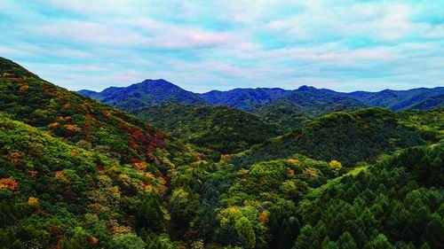 为“绿色长城”筑牢科技根基