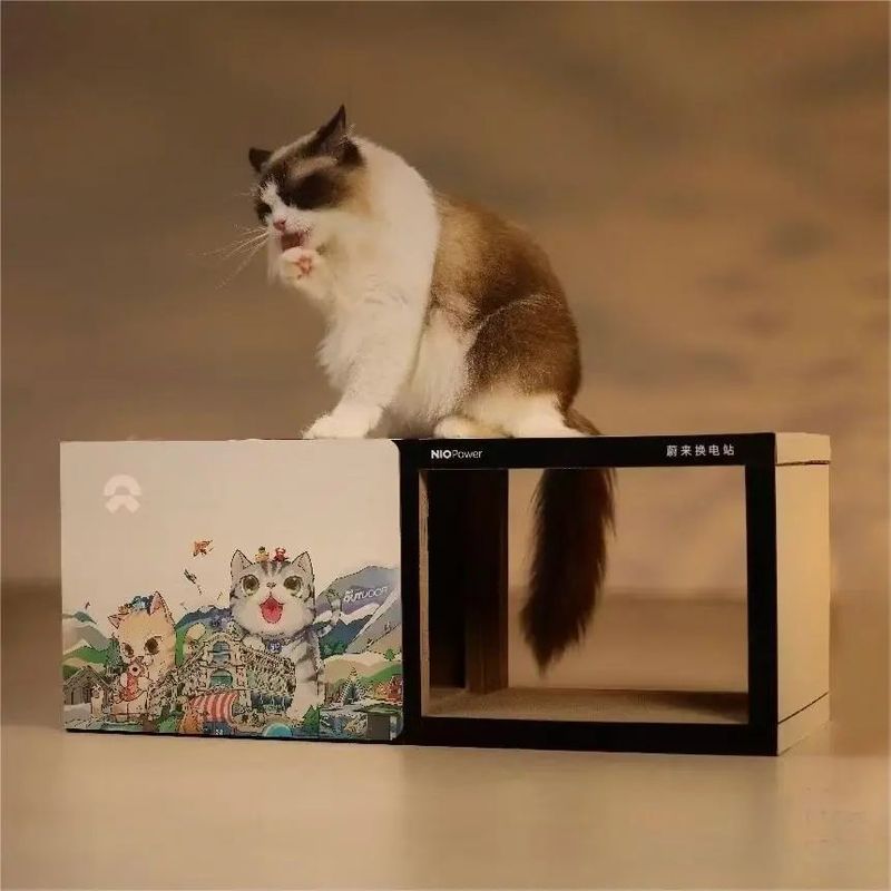 BBA车主的面子,被假货三件套背刺