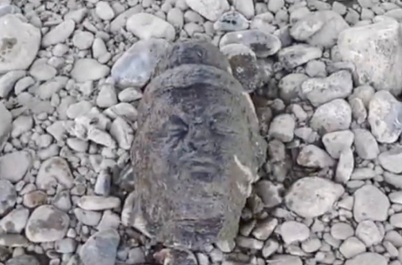 洛阳一钓鱼男子发现佛头 研究院回应:初步鉴定为唐代文物