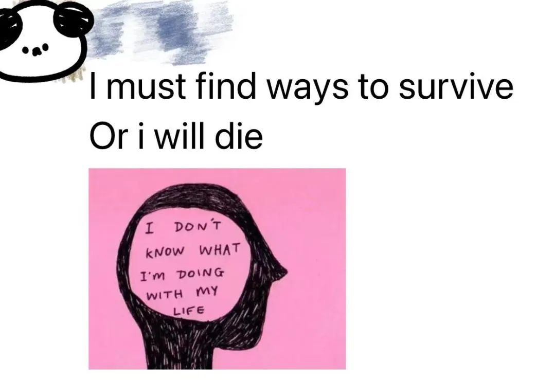 从“小镇做题家”到名校博士：原生家庭曾让我痛苦