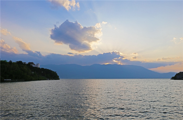 新物种!云南大理发现苍山潜穴虻:以小型无脊椎动物为食