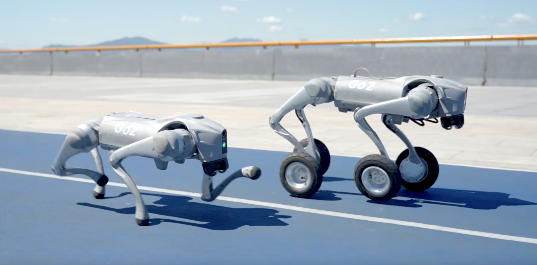 专访宇树科技王兴兴:在人形机器人的巨变前夜,做一个敏锐的谨慎派