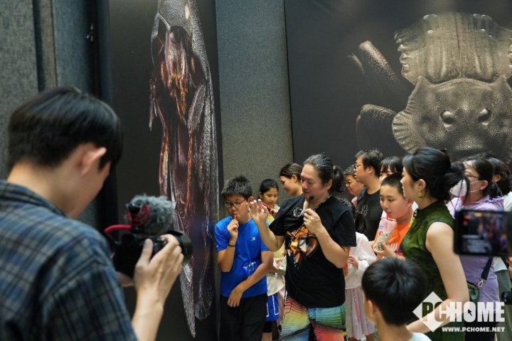 超强性能超清显示 华硕电脑助力超微昆虫摄影展