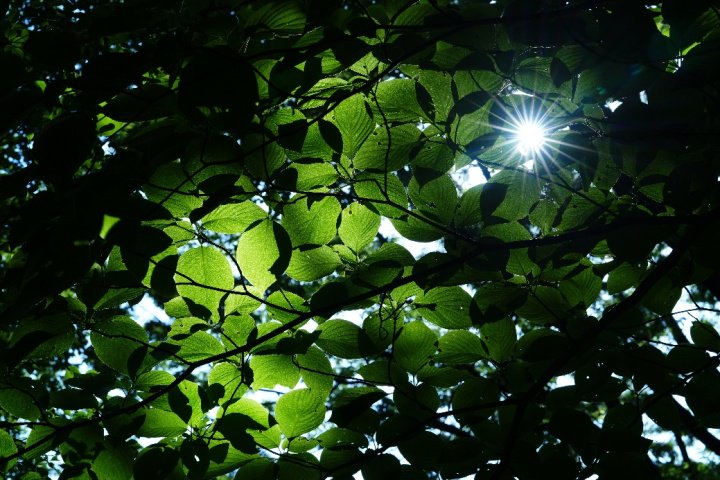 索尼发布人像大光定FE 85mm F1.4 GM II 售价12400元