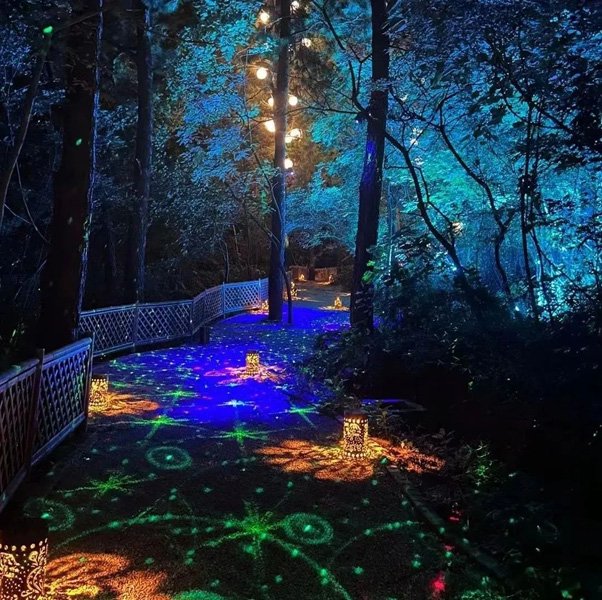 视美乐精彩绽放江苏照明年会,光影点亮城市新地标!