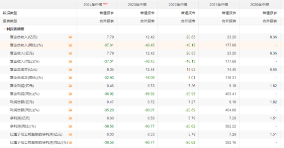 迪阿股份半年报。来源:choice金融终端