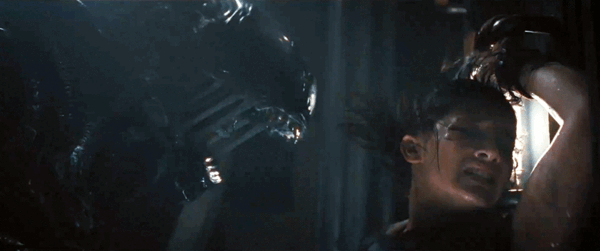 2024暑期档总票房破115亿:《抓娃娃》第一 《异形:夺命舰》进前三