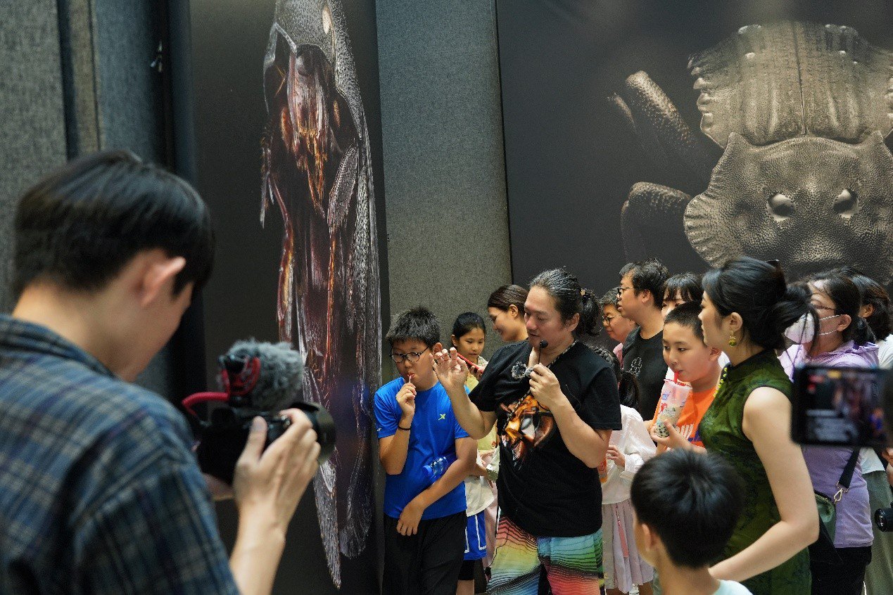 华硕电脑助力超微昆虫摄影展 领略35亿像素下的昆虫之美