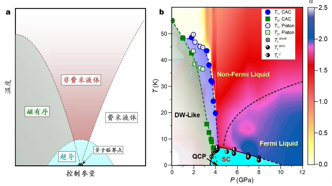浙江大学合成新型铬基笼目晶格反铁磁体 CsCr3Sb5：在磁性边缘实现超导电性，成果登 Nature