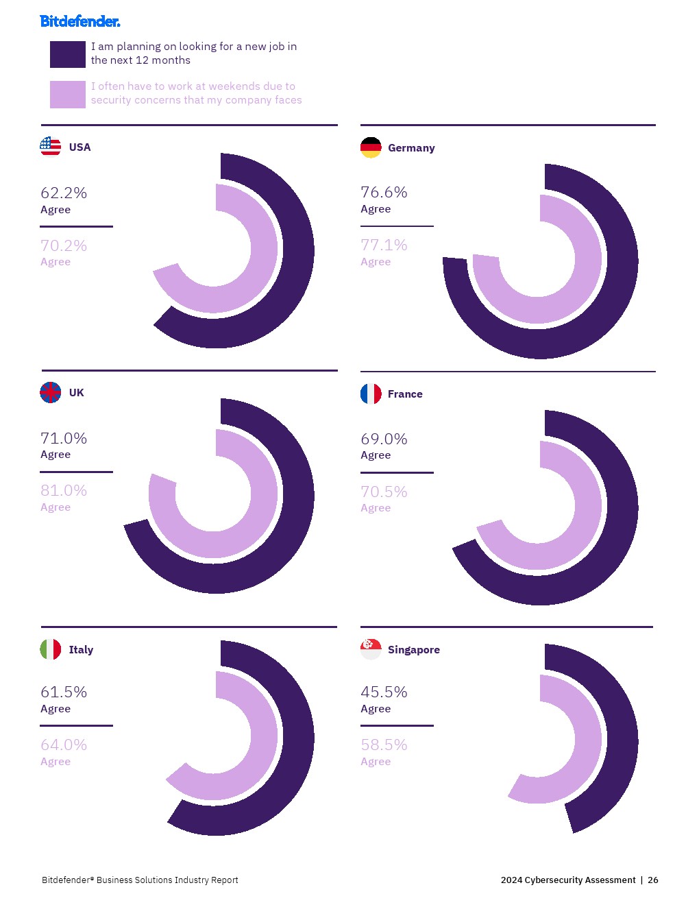 Bitfinder：2024年网络安全评估报告