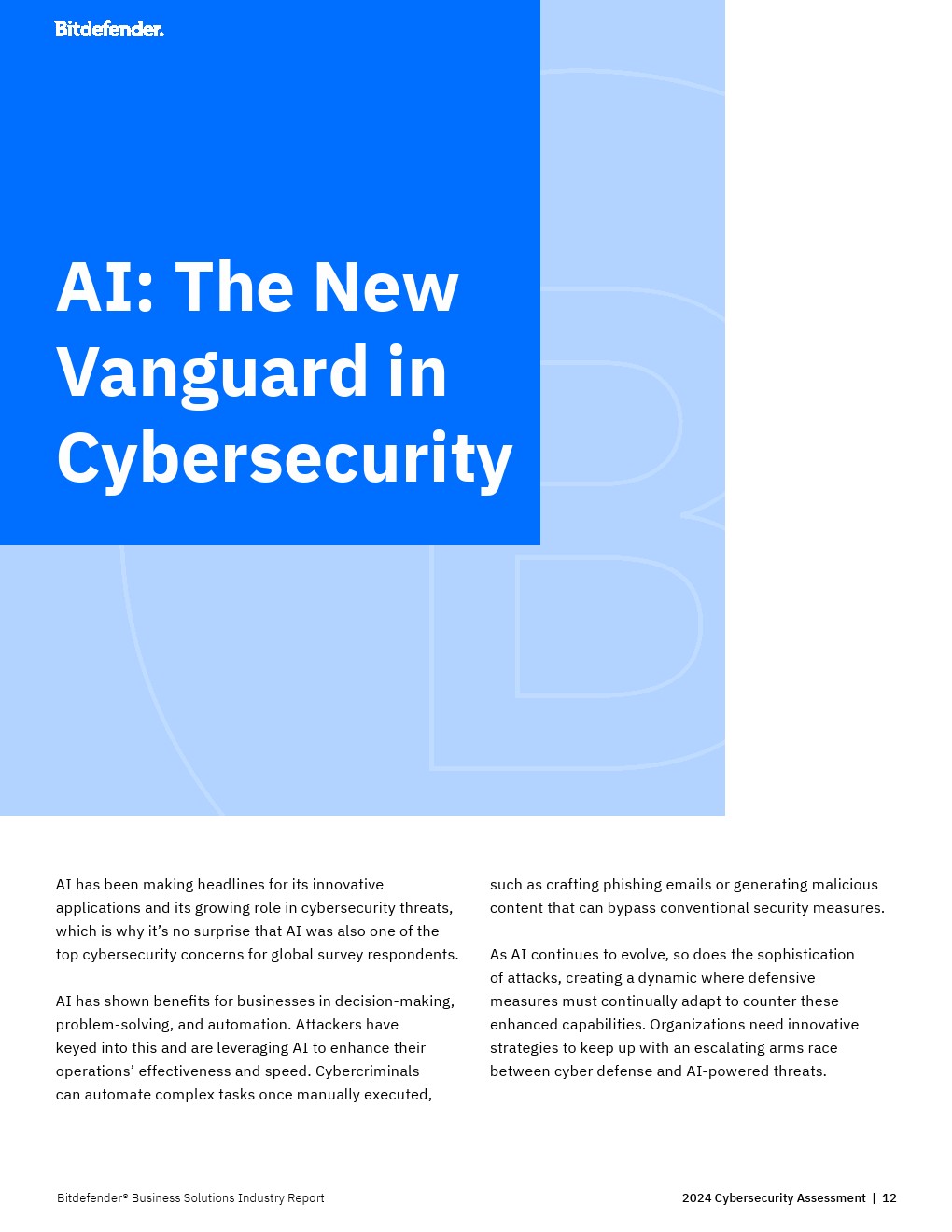 Bitfinder：2024年网络安全评估报告