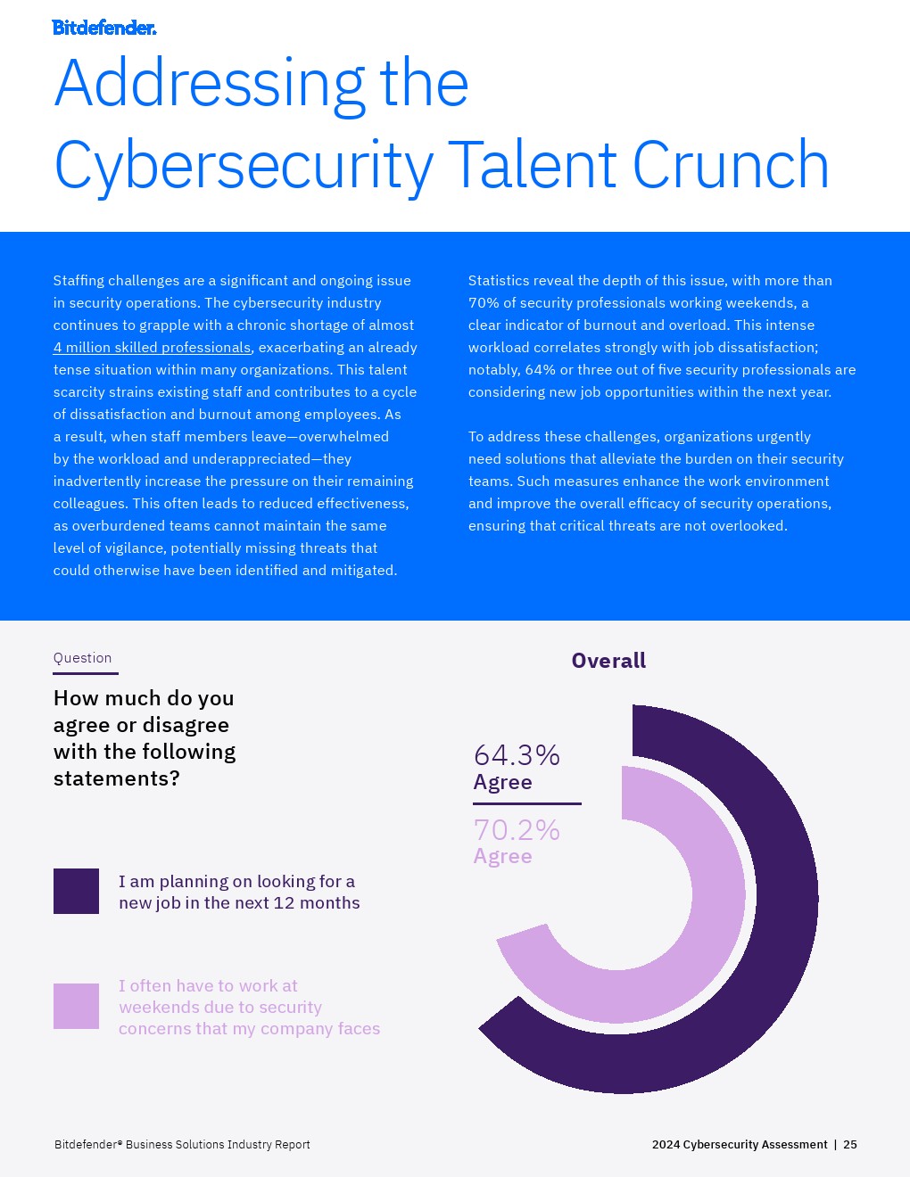 Bitfinder：2024年网络安全评估报告