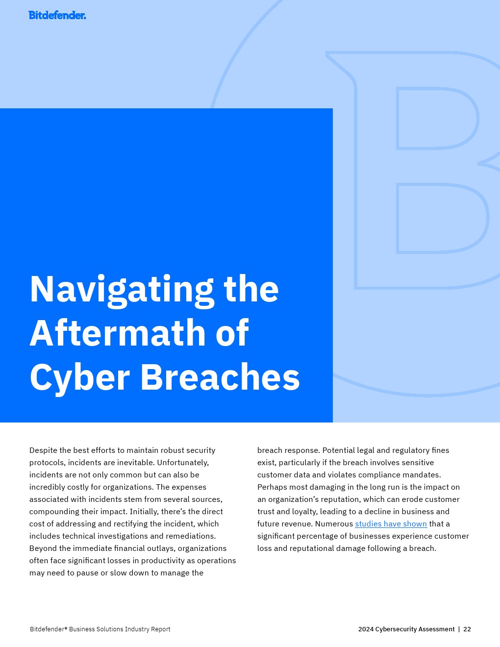 Bitfinder：2024年网络安全评估报告