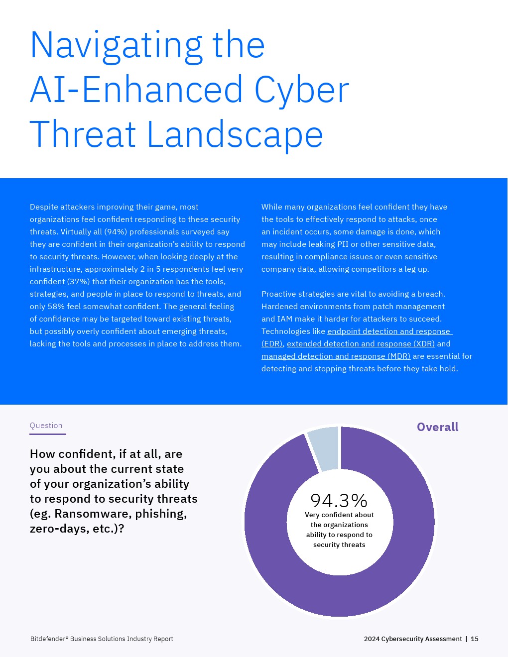 Bitfinder：2024年网络安全评估报告