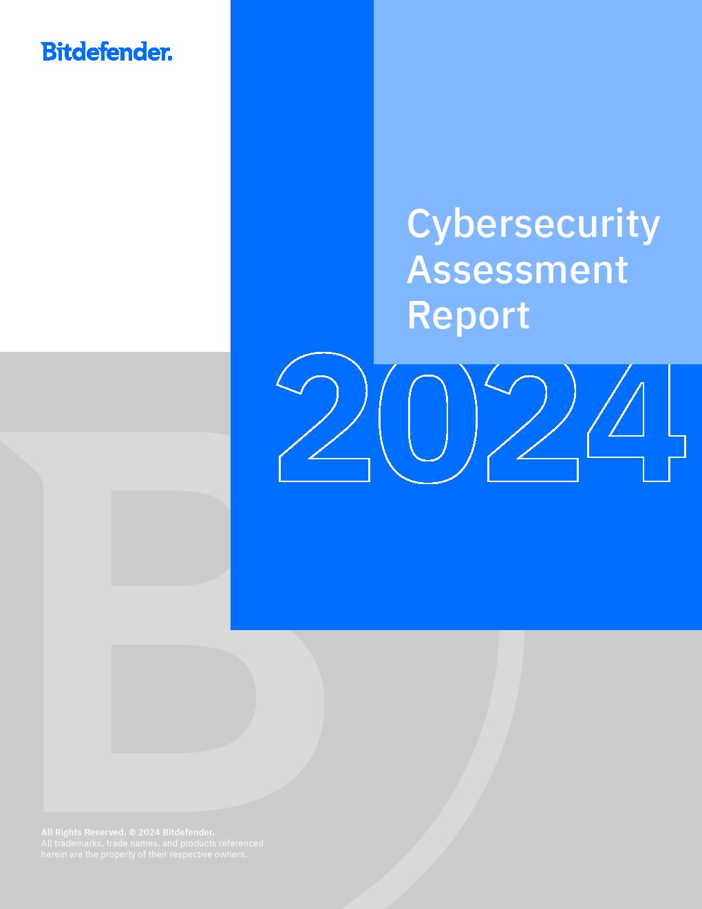 Bitfinder：2024年网络安全评估报告