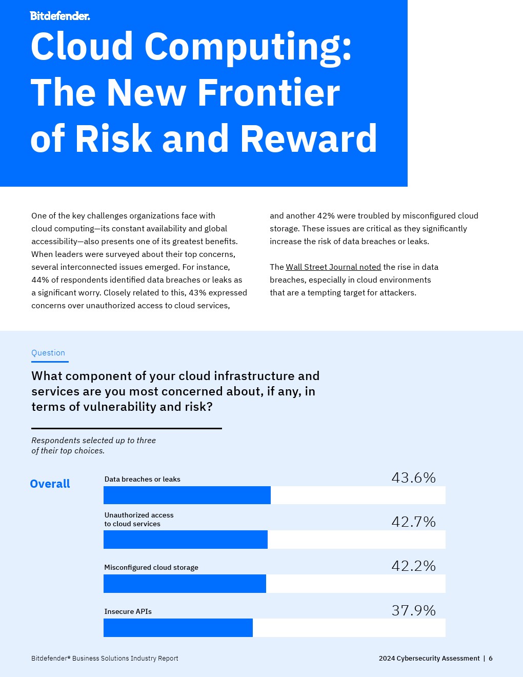 Bitfinder：2024年网络安全评估报告