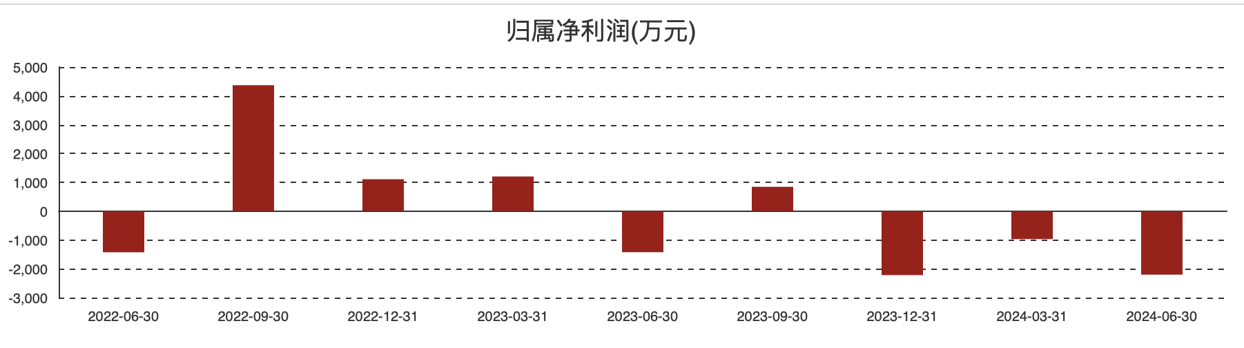 (华依科技各季度归母净利润情况)