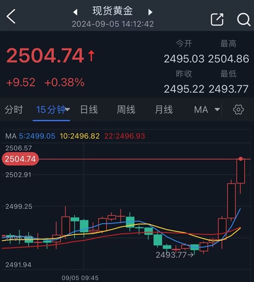 黄金突发大行情！金价短线急涨逼近2505美元  第2张