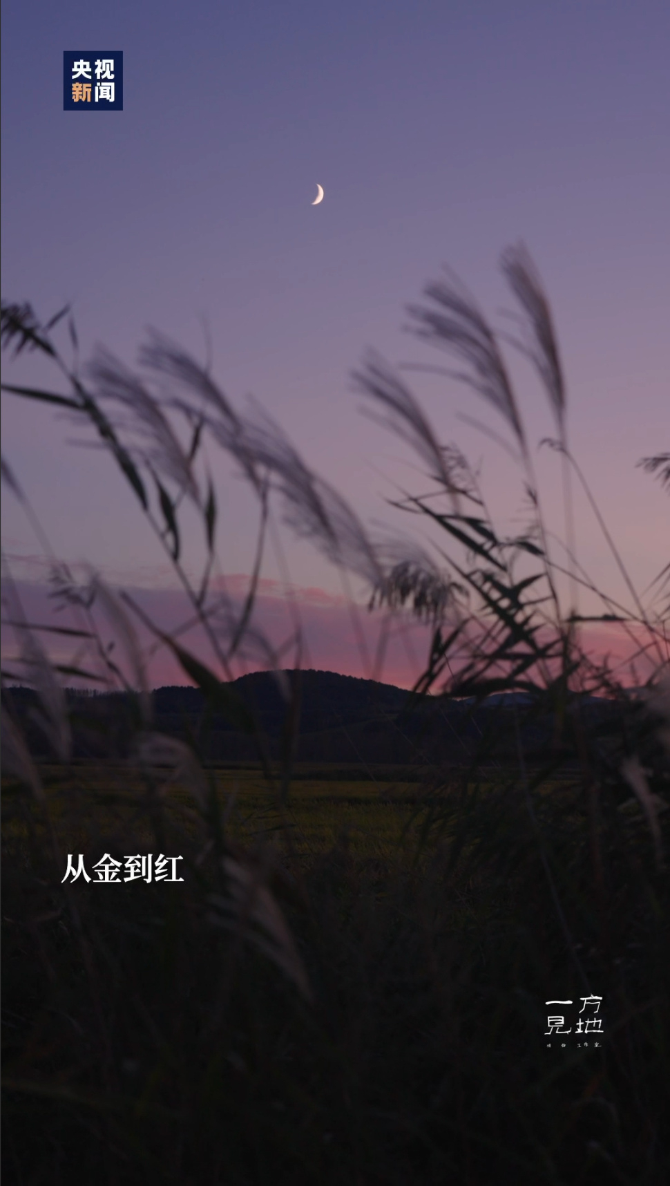 1caa-a1a30ecfb47535c91db8aa76dee41391.jpg