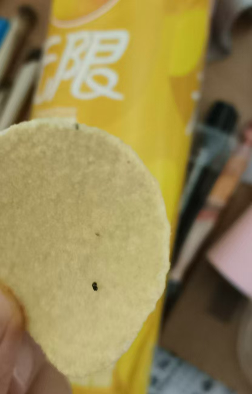 消費者提供的不明黑色異物照片