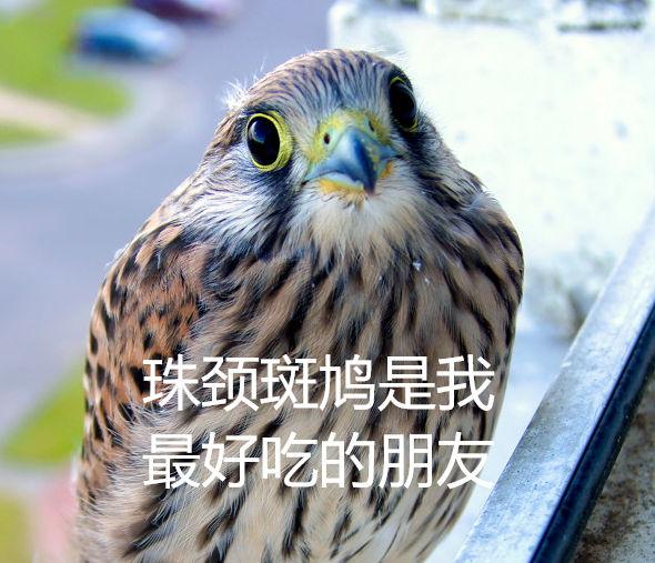 1ffa-9eb6f99a819224054f1b14f2a0f2c8f1.png