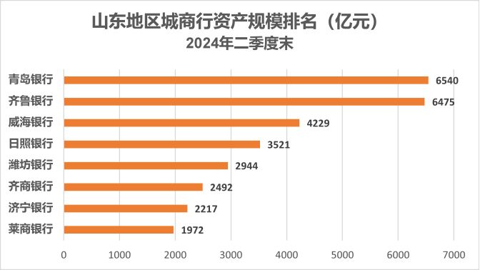 (数据来源:上述各家银行2024年半年报)