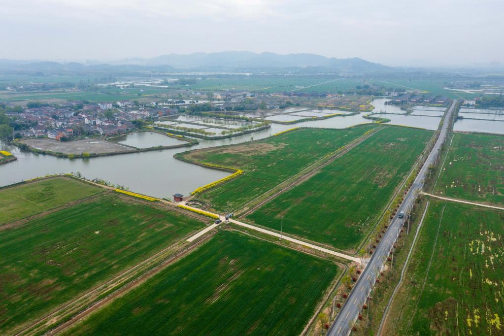 浙江省湖州市東林鎮東華村經過土地綜合整治後建成的高標準農田。（無人機照片）