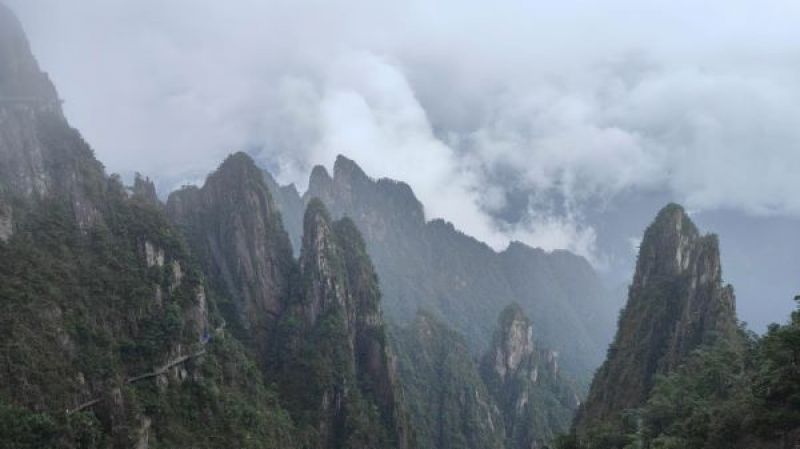 郴州莽山景区 王敬/摄