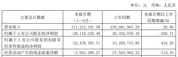 图为:炬光科技2024年半年报部分会计数据