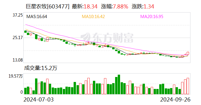 沪市生猪行业集体路演:上半年业绩回暖 扩产降本成主旋律