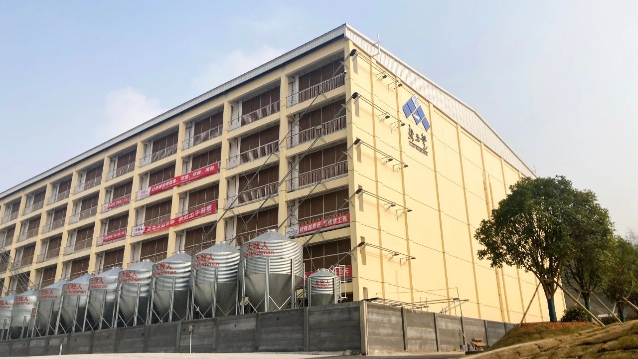新五丰桥驿镇泉新母猪场