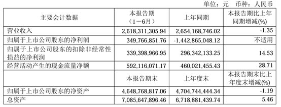 中炬高新今年上半年的主要会计数据,截取自企业财报。
