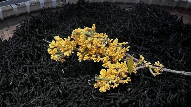(来源:新视线)