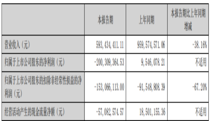 (来源:海南海药2024年中报)